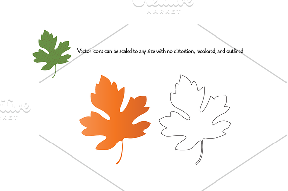 Leaves & Berries Clipart in Illustrations - product preview 2