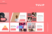 Tulip - Keynote Template