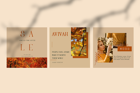 Avivah Autumn Instagram Feed in Instagram Templates - product preview 12