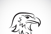 Vector of an eagle head design. Bird