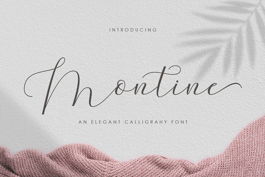Montine Script in Script Fonts - product preview 8
