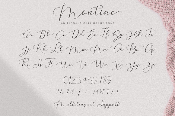 Montine Script in Script Fonts - product preview 5