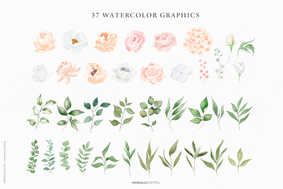 Watercolor Florals Peach & White in Illustrations - product preview 21