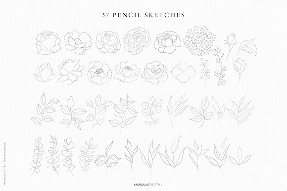 Watercolor Florals Peach & White in Illustrations - product preview 22