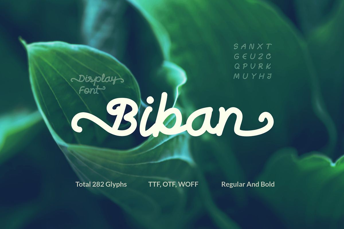 Biban Handwritten Script in Script Fonts - product preview 8