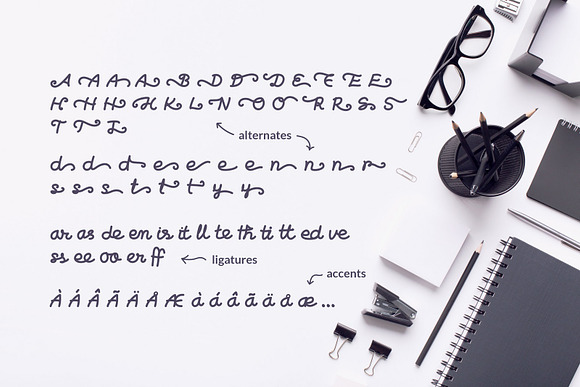 Biban Handwritten Script in Script Fonts - product preview 4