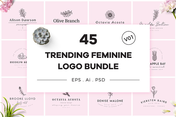 Trending Feminine Logo Bundle V01
