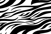 Zebra print. Stripes, animal skin
