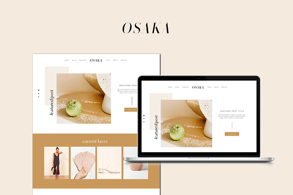 Osaka ProPhoto 7 Template in WordPress Blog Themes - product preview 2
