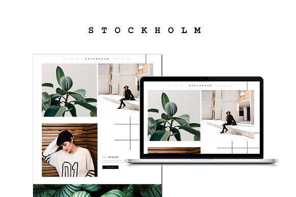 Stockholm ProPhoto 7 Template in WordPress Photography Themes - product preview 3