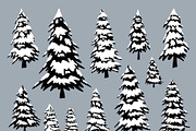 Pine trees with snow in the winter