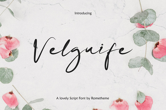 Rometheme Font Bundle - 98% OFF! in Fonts - product preview 14