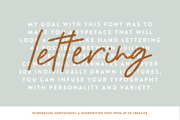Meritocracy, A Handwritten Script in Handwriting Fonts - product preview 1