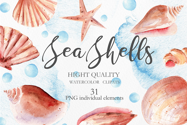 Seashells Clipart Collection