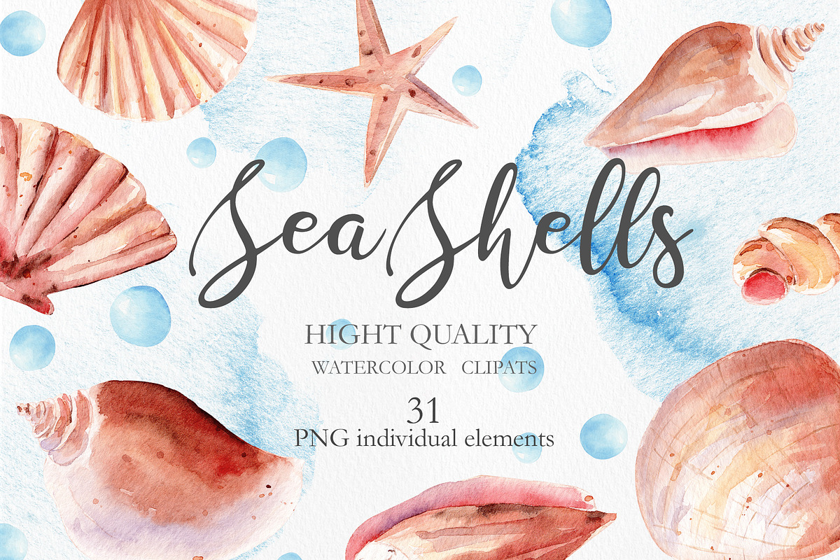 Seashells Clipart Collection in Illustrations - product preview 8