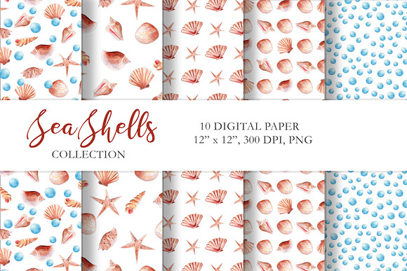 Seashells Clipart Collection in Illustrations - product preview 3