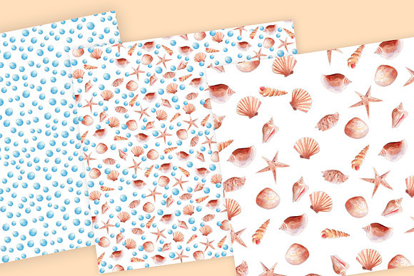 Seashells Clipart Collection in Illustrations - product preview 5