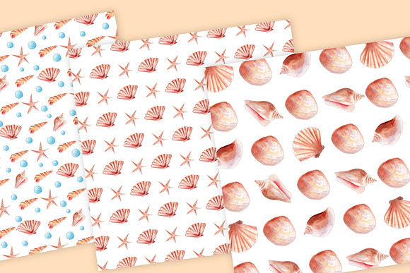 Seashells Clipart Collection in Illustrations - product preview 6
