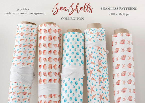 Seashells Clipart Collection in Illustrations - product preview 8