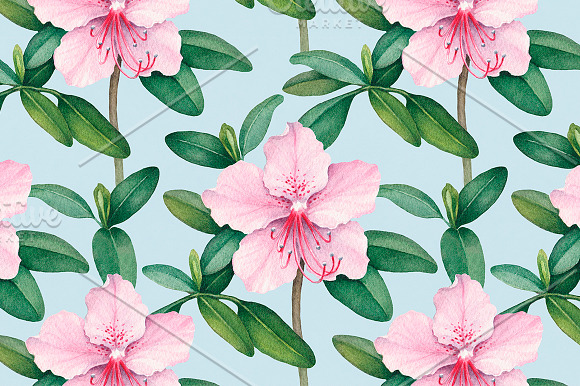 Watercolor illustrations and pattern in Illustrations - product preview 1