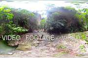 River in the rainforest 360VR