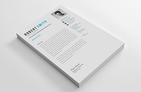 Professional Resume / CV Template in Letter Templates - product preview 5