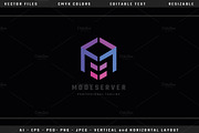 Mode Server Letter M Logo