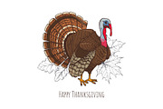 Happy Thanksgiving Day Turkey Poster