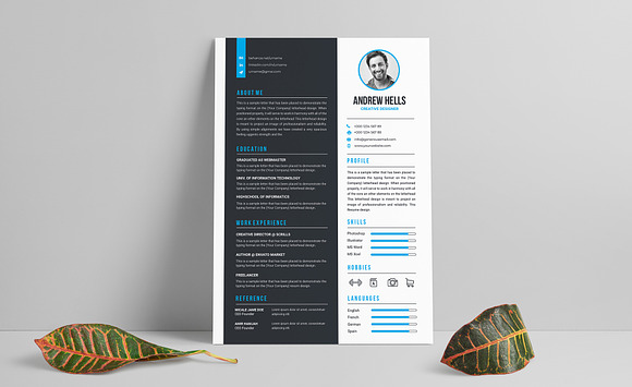 Resume / CV Template in Letter Templates - product preview 1