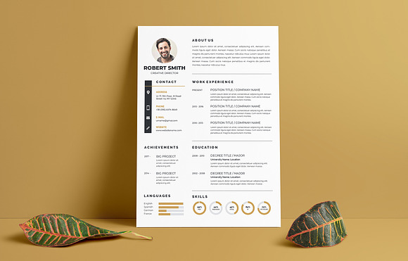 Professional Resume / CV Template in Letter Templates - product preview 1