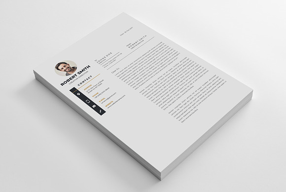 Professional Resume / CV Template in Letter Templates - product preview 5