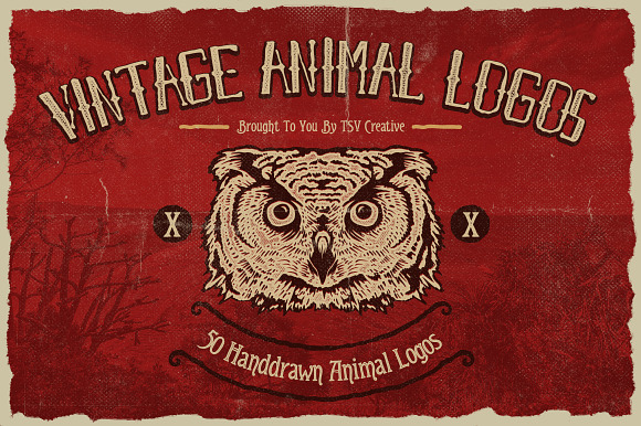 50 Vintage Animal Logo in Logo Templates - product preview 7