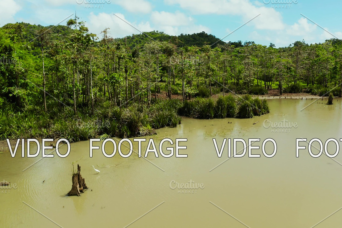 Marshland in the rainforest. Siargao in Graphics - product preview 8