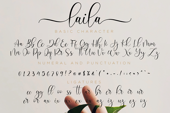 Laila // Modern Script in Script Fonts - product preview 10