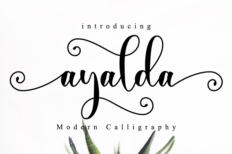 Ayalda Script in Script Fonts - product preview 8