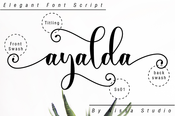 Ayalda Script in Script Fonts - product preview 9
