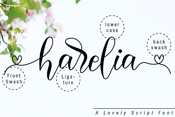 Harelia // Lovely Script Font in Script Fonts - product preview 9