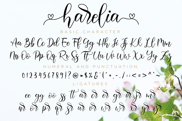 Harelia // Lovely Script Font in Script Fonts - product preview 10