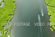 Aerial view of Mangrove forest and