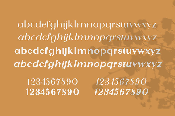 SunGold - Font Family in Sans-Serif Fonts - product preview 7