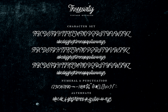Threesixty Monoline Script in Script Fonts - product preview 7
