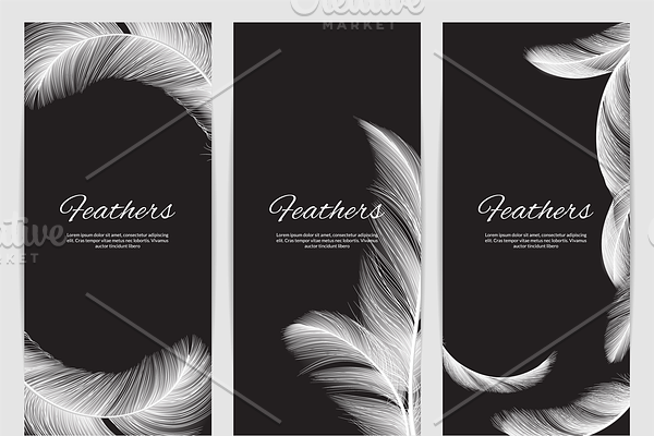 Feathers banners template. Realistic