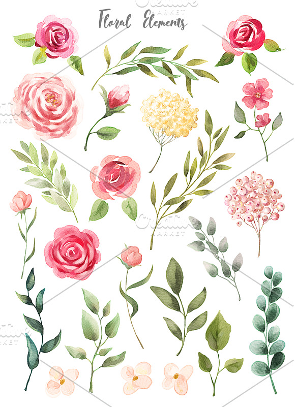 Watercolor Floral Collection in Illustrations - product preview 2