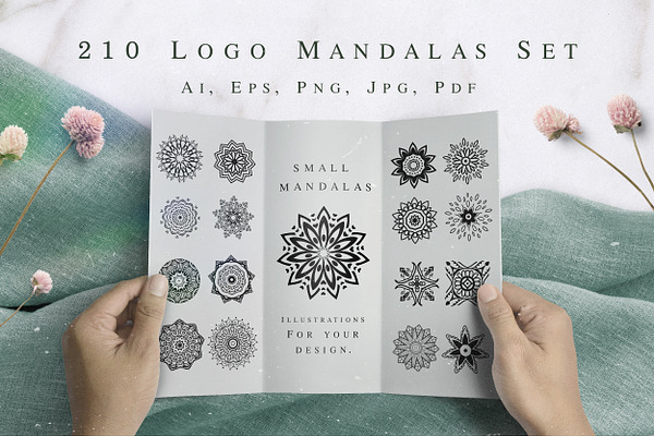 210 Logo. Mandalas Set