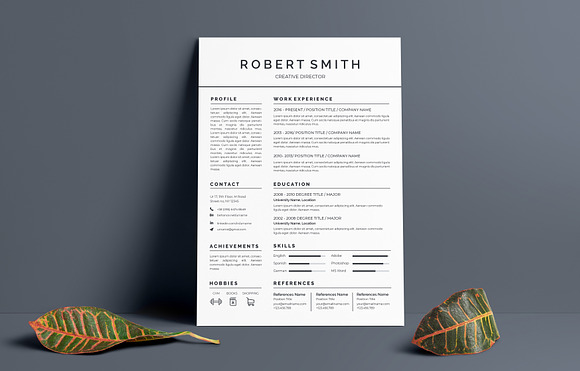Pro Resume / CV Template in Letter Templates - product preview 3