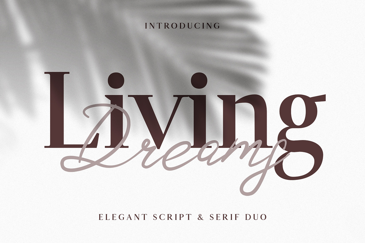Living Dreams - Serif & Script Font in Serif Fonts - product preview 8