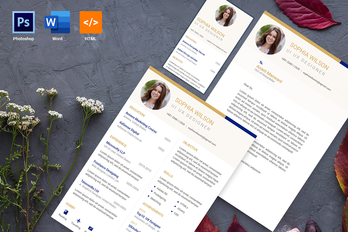 Royal Resume Design in Resume Templates - product preview 8