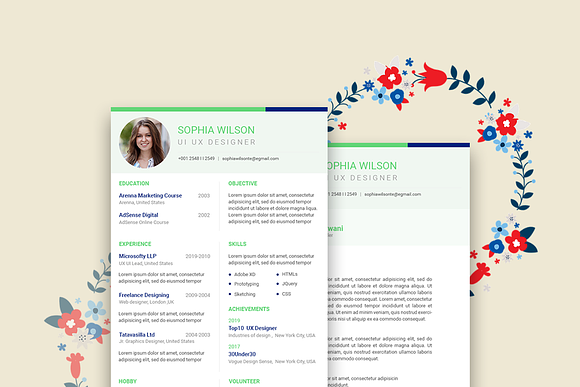Royal Resume Design in Resume Templates - product preview 4