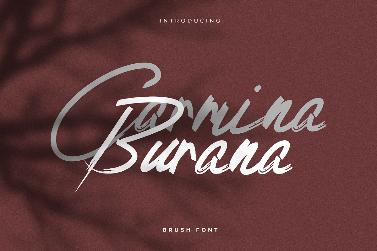 Carmina Burana - Grunge Brush Font in Script Fonts - product preview 8