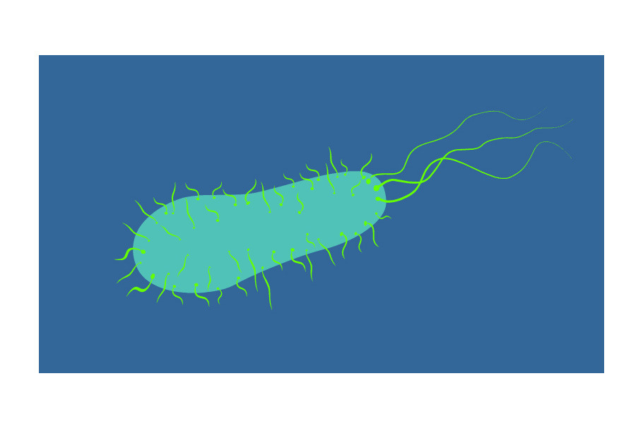 Animation Bacteria Swimming Retro 2D